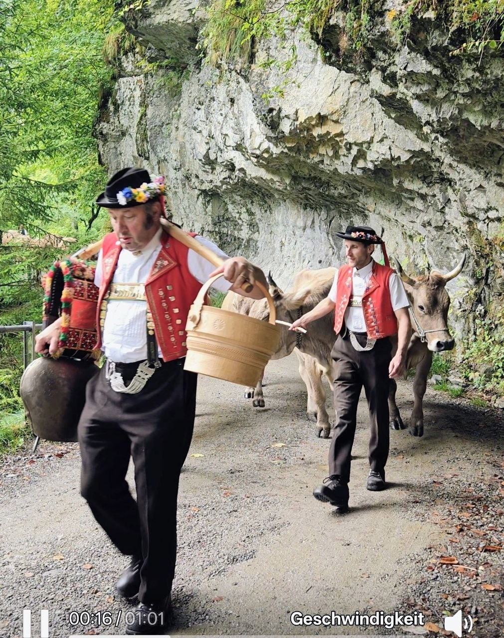 Alpabzug – Traditioneller Viehabtrieb in der Schweiz
